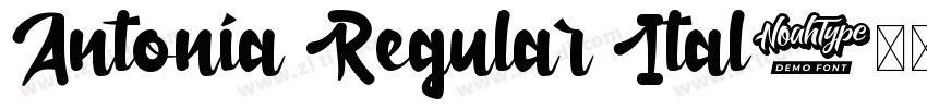Antonia Regular Ital字体转换
